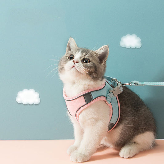 Reflective harness for cats